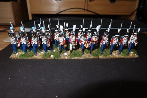 Perry 28mm pro painted - 28mm, pro-painted