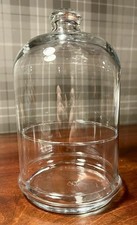 Glass Dome Specimen Jar