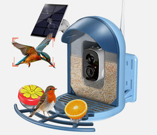 2k QHD AI Camera Smart Bird