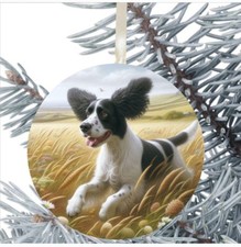 Springer Spaniel Dog Hanging