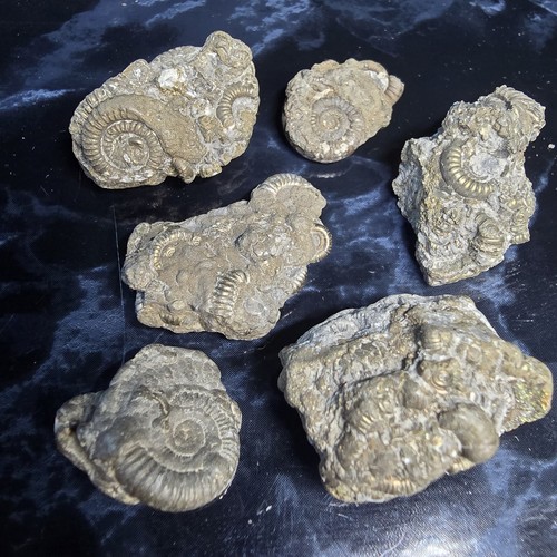 Stunning pyrite - 6,