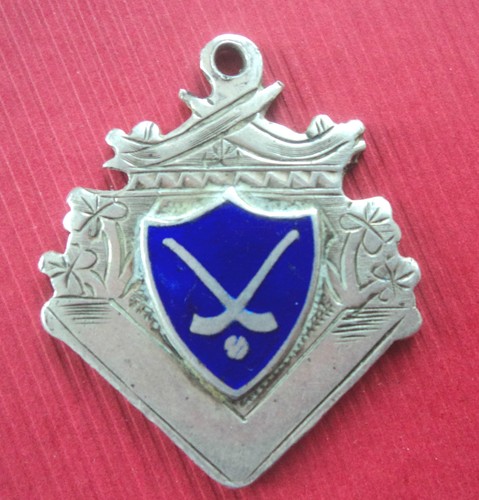 Irish silver hurling - irish,