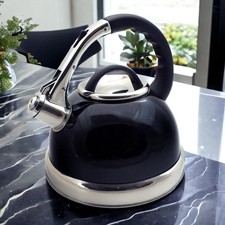 Whistling stovetop kettle - whistling,