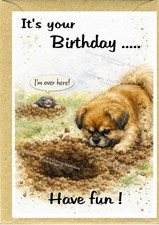 Tibetan Spaniel Dog with Mole