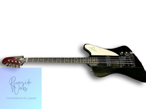Gibson thunderbird studio - gibson, bass