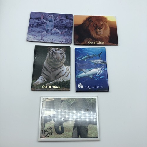 Fridge magnets lot animals - fridge,