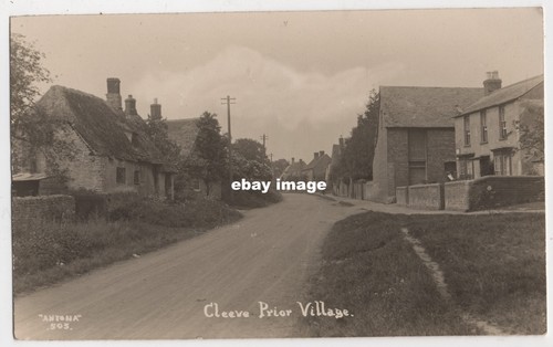 1900 photo postcard cleeve - photo,