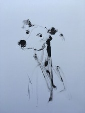 Original signed Ink Drawing Painting sketch of a Whippet Greyhound Lurcher A3