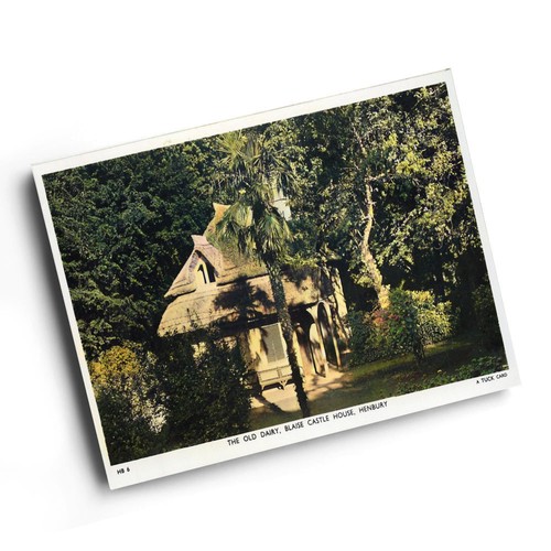 Print vintage - a6,