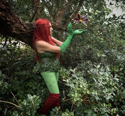 Poison ivy cosplay fancy dress - poison,