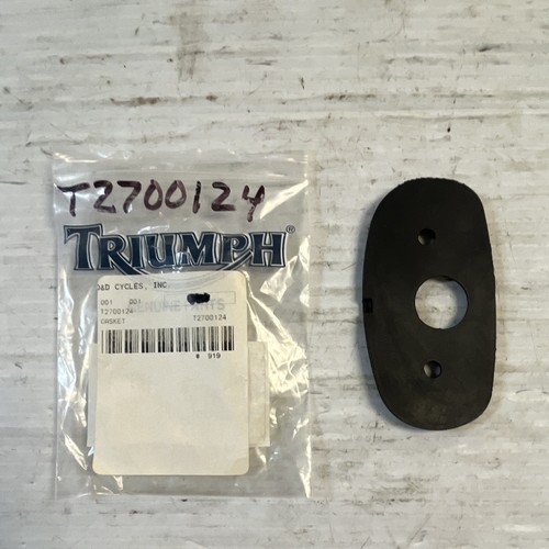 Triumph bird 98 04 - t-bird, 98-04