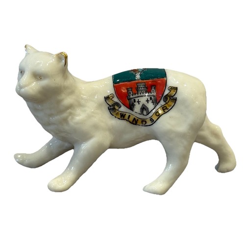 Crested cat china lucky - china,