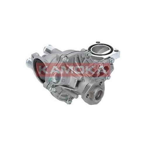 T0043 kamoka water - t0043,