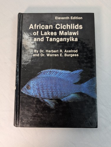 African cichlids lakes malawi - african,
