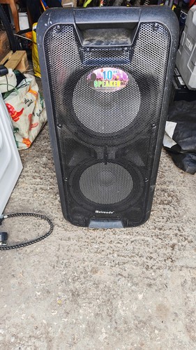 Meirende speaker - meirende, 10