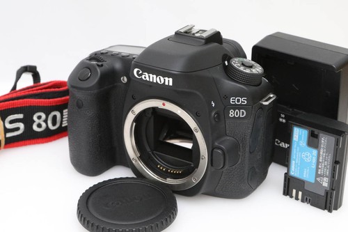 Canon eos 80d body - canon,