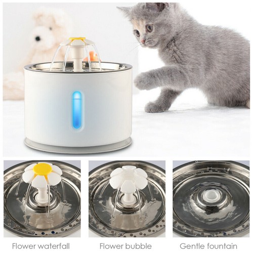 Pet electric water - pet,
