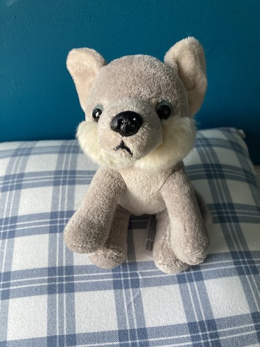 Bbc mini husky - dog, soft