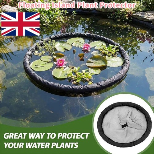 2pcs floating flora - flora, fish