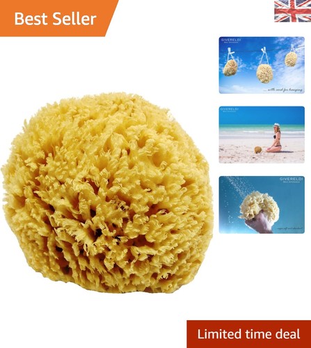 Natural sea sponge - natural,