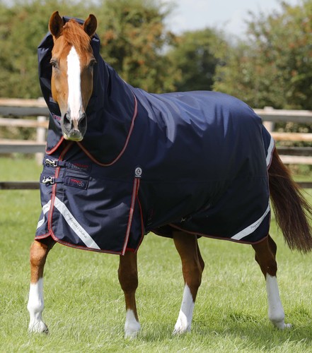 Premier equine titan 100g - premier,