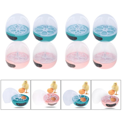 Mini egg incubator with - incubator,