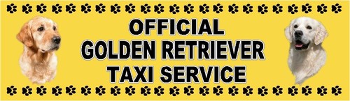 Golden retriever official - retriever,