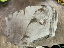 Spalted Sycamore Bowl Blank