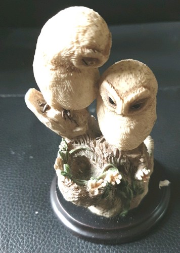 Two barn owlets perched - "two,