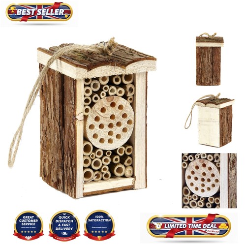 Eco friendly wooden insect - wooden,