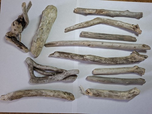Driftwood pieces bundle - , drift