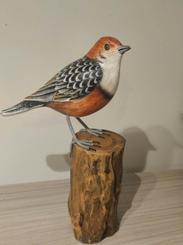 Dipper tree trunk hand - dipper, trunk,