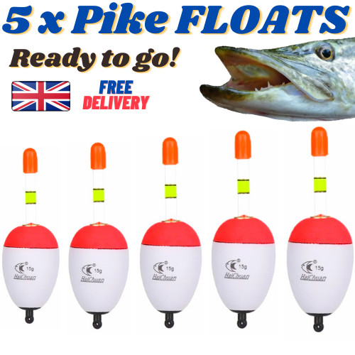 Pike perch zander fishing - zander,
