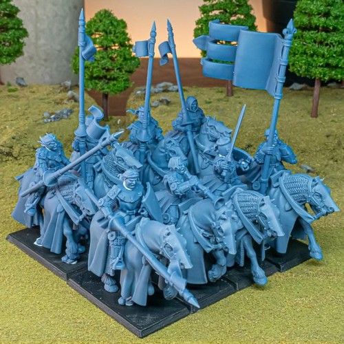 Young knights gallia - of,