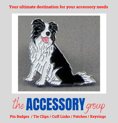 New collie sheep dog - collie, border