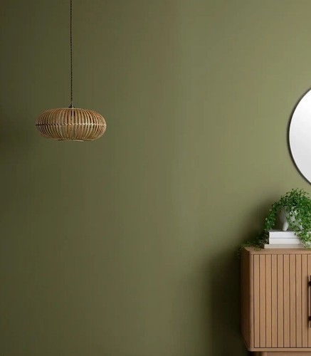 Litre army green onecoat - 5,