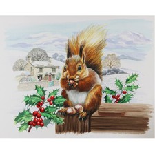 Red Squirrel / Winter Scene -