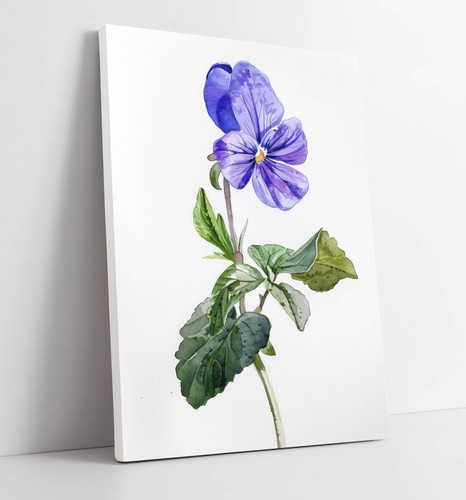 Violet flower watercolour - violet,