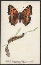 CADBURY-BRITISH BUTTERFLIES