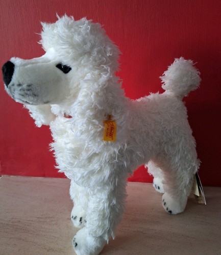 Steiff poodle american kennel - american,