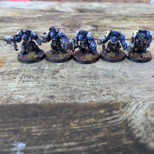 Space wolves wolf guard - space,