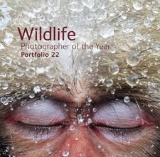 Wildlife Photographer of the