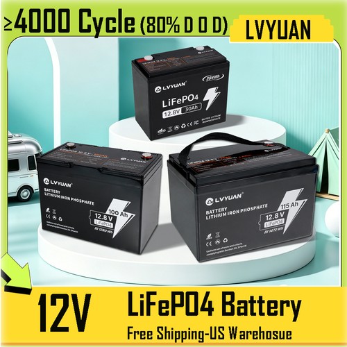 12v 100ah 115ah lifepo4 - 100ah,