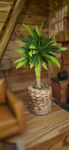 Large dolls house plant - dolls, in