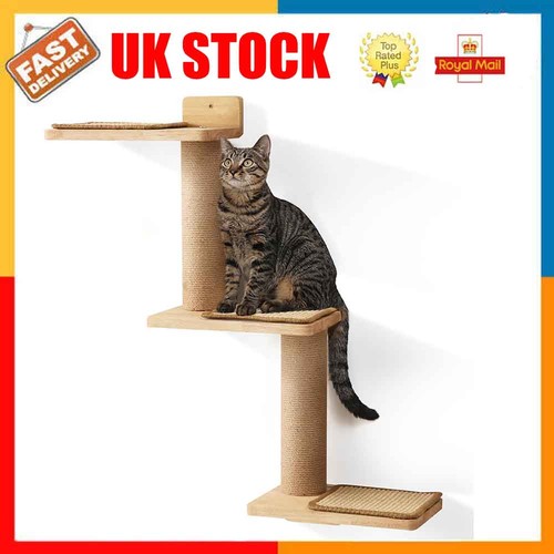 Cat climbing shelf wall - climbing,