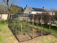 Walk In Fruit Cage Vegetable Protect Soft Crops All Sizes Anti Bird Net & Frame