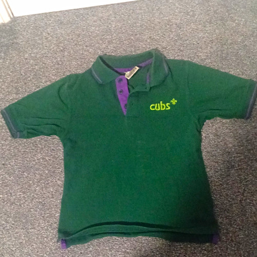 Cubs green polo shirt - polo,