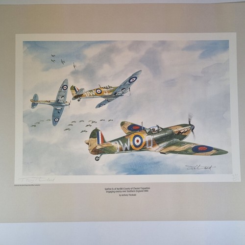 Anthony theobald signed colour - signed,