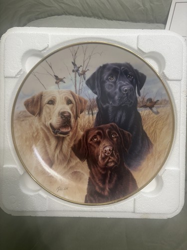 Wedgewood bone china plates - bone,
