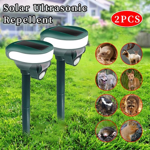 Ultrasonic cat dog fox - fox, pest